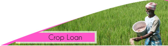 success of new crop loan scheme